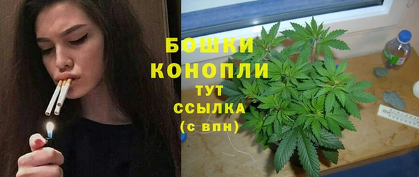 PSILOCYBIN Зеленодольск