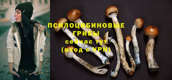 твердый Зерноград