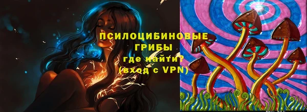 PSILOCYBIN Зеленодольск