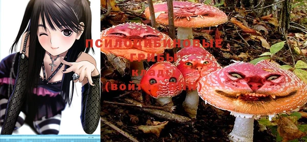 MDMA Premium VHQ Зеленокумск