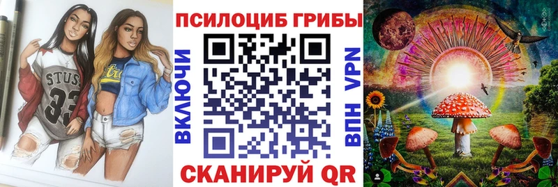 Купить где  Жуков  Псилоцибиновые грибы мухоморы 